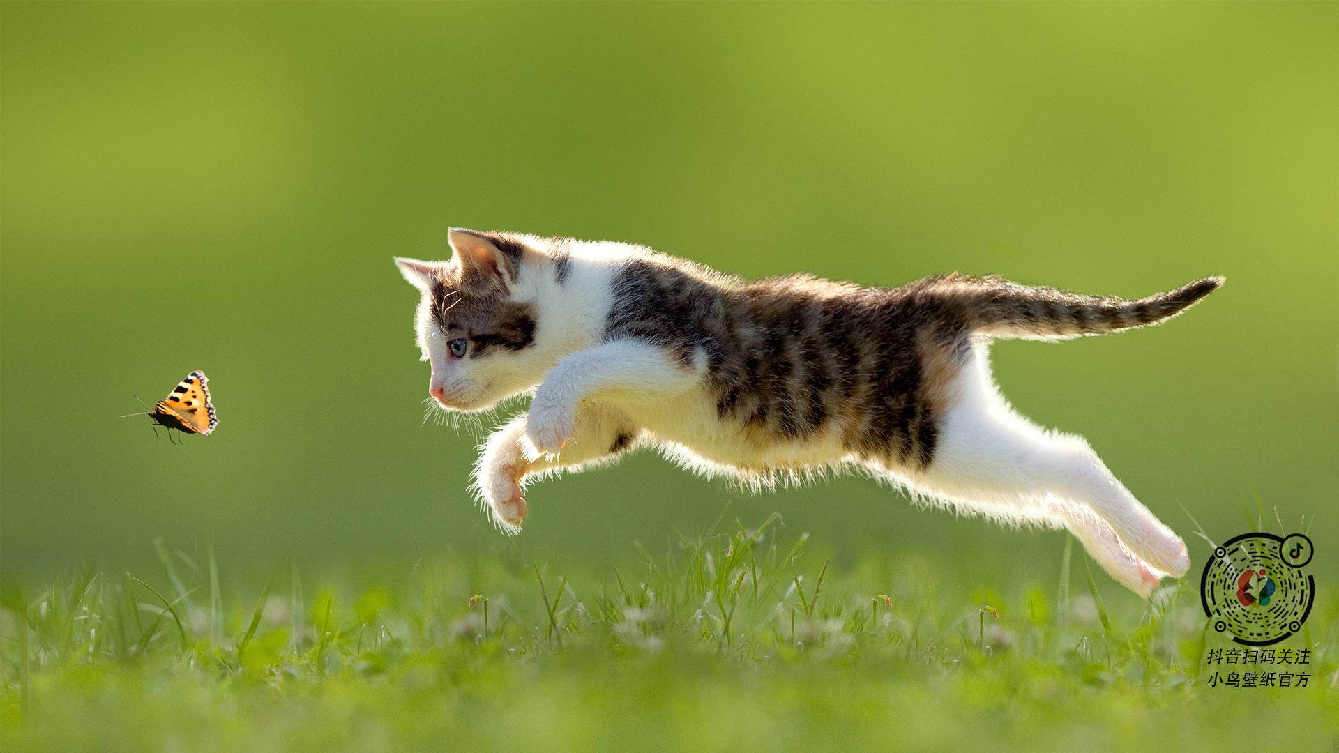 步行者签下新援丰富侧翼防守资源,步行者防守怎么样