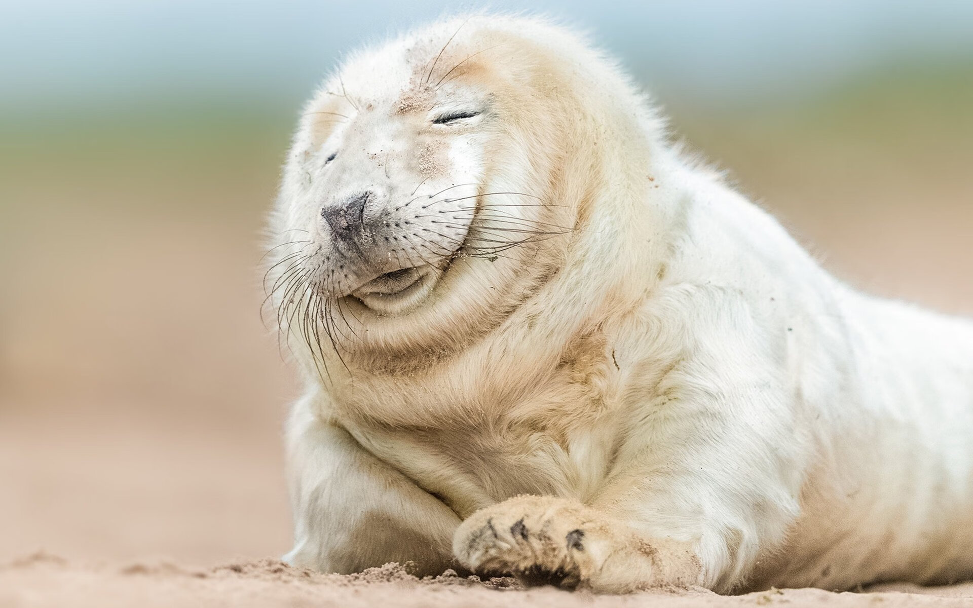 特色足球主题的文创市场持续火爆，带动地方经济发展，什么是足球文创作品