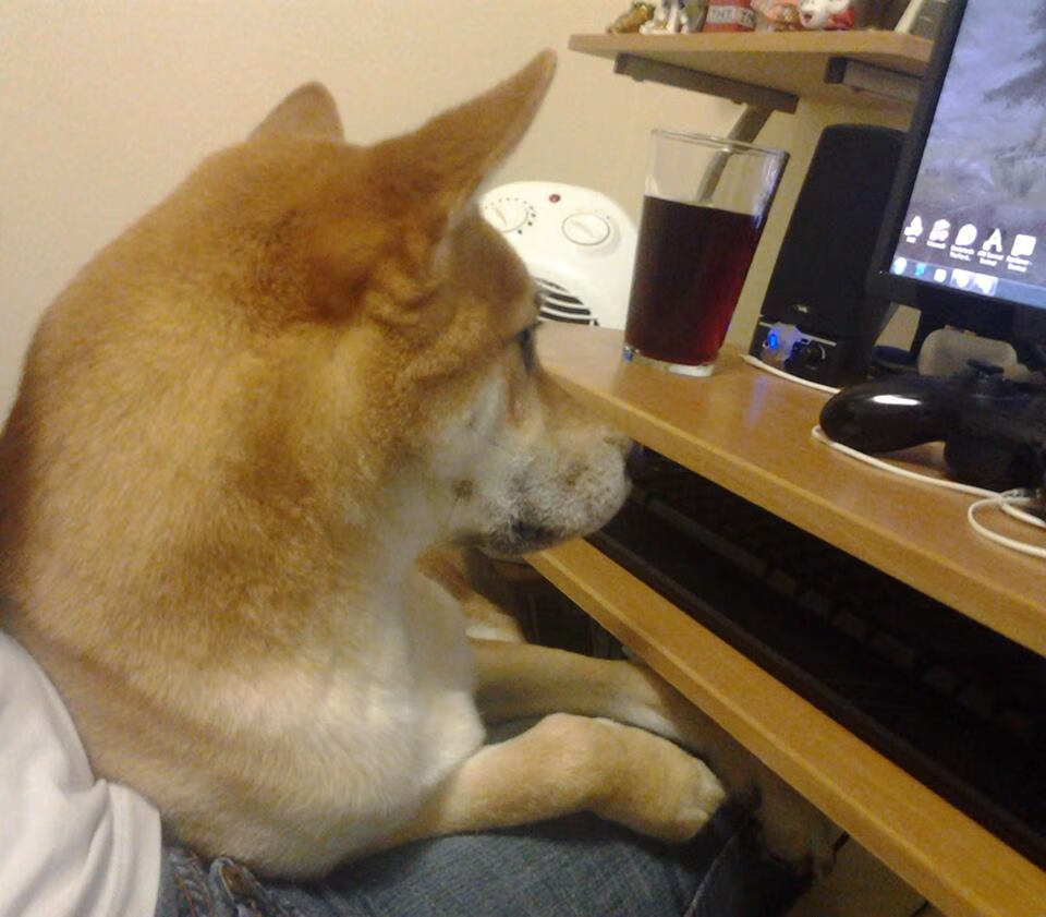 苏炳添进行专项爆发力训练日程紧凑，苏炳添的爆发力怎么训练的