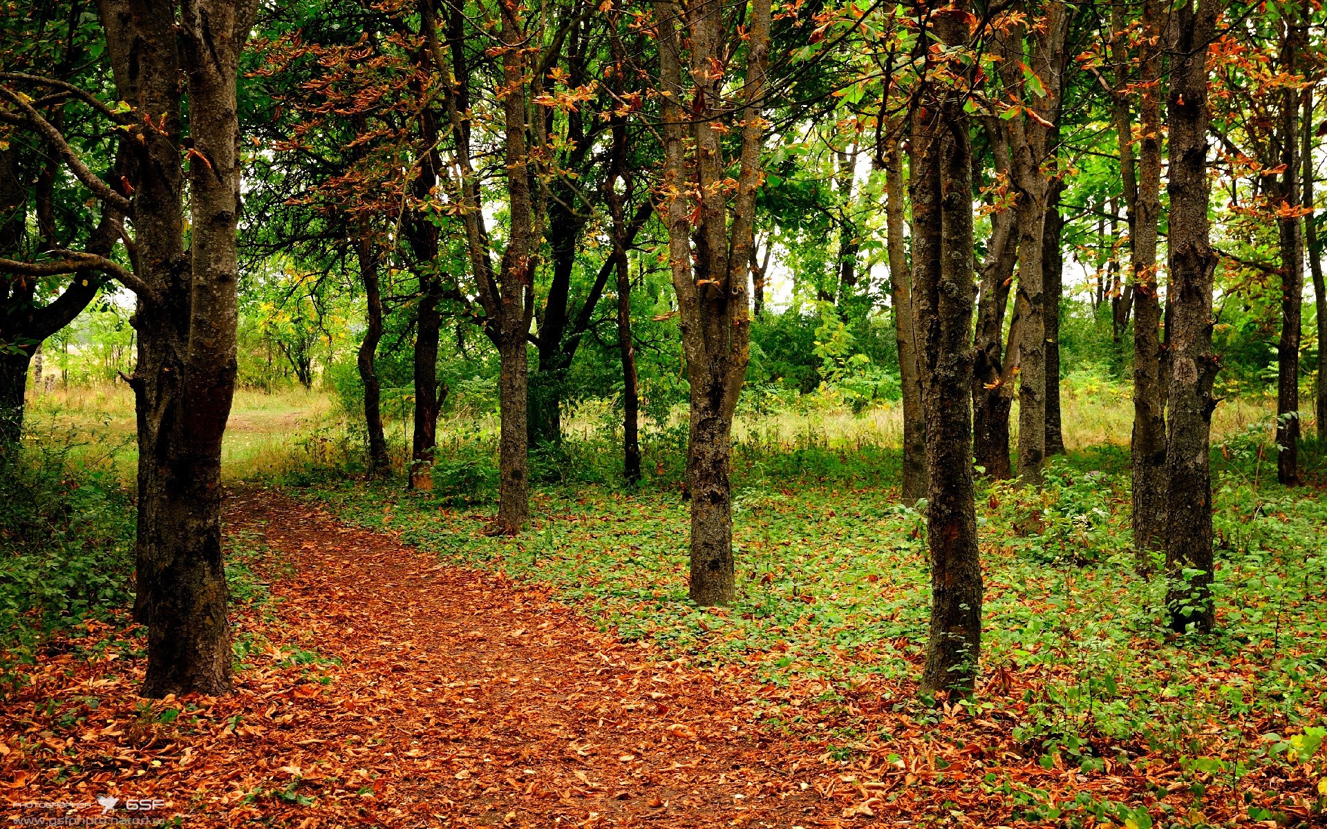 英超冲刺决战:悬念、激情、荣耀!,英超争4