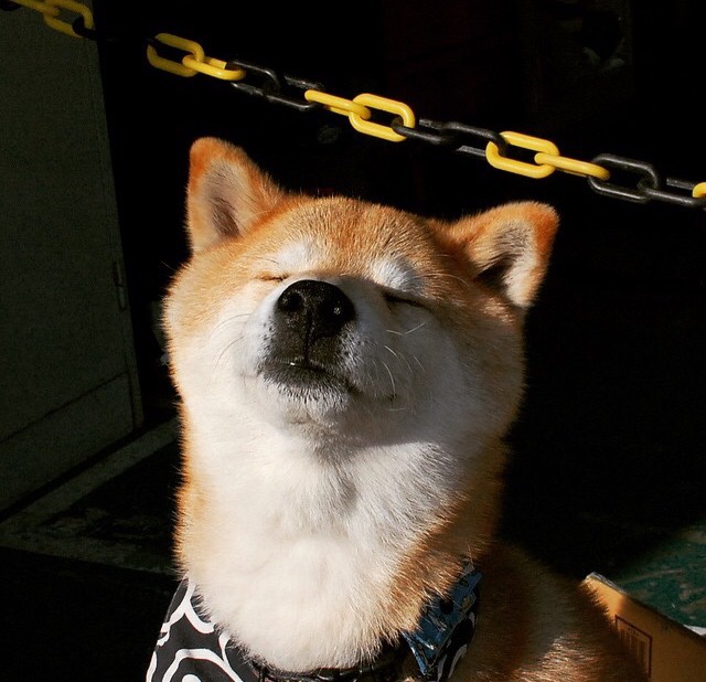 开云体育平台-西班牙青年队在欧洲大赛中表现亮眼，未来可期