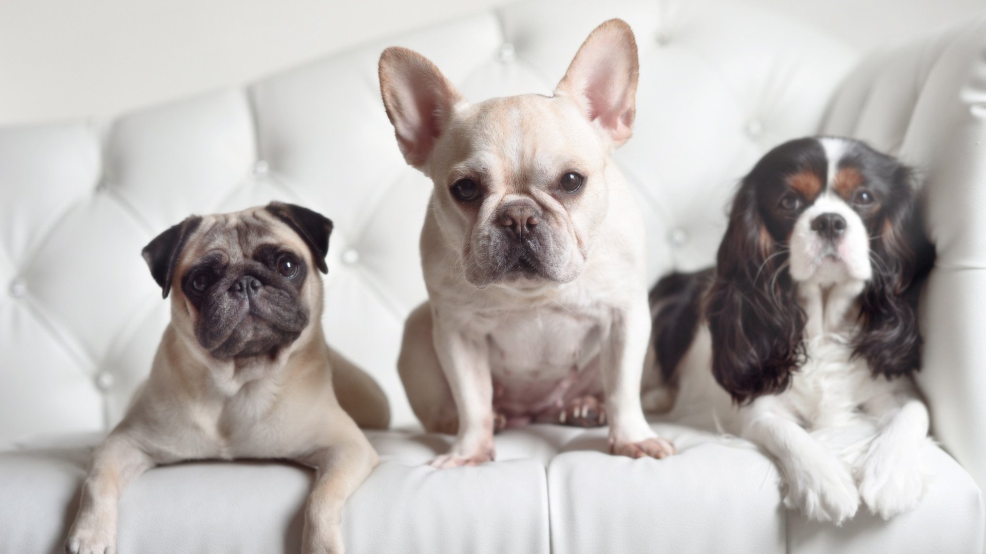 西甲豪门狂飙:攻势如潮,精彩难挡!,西甲的豪门