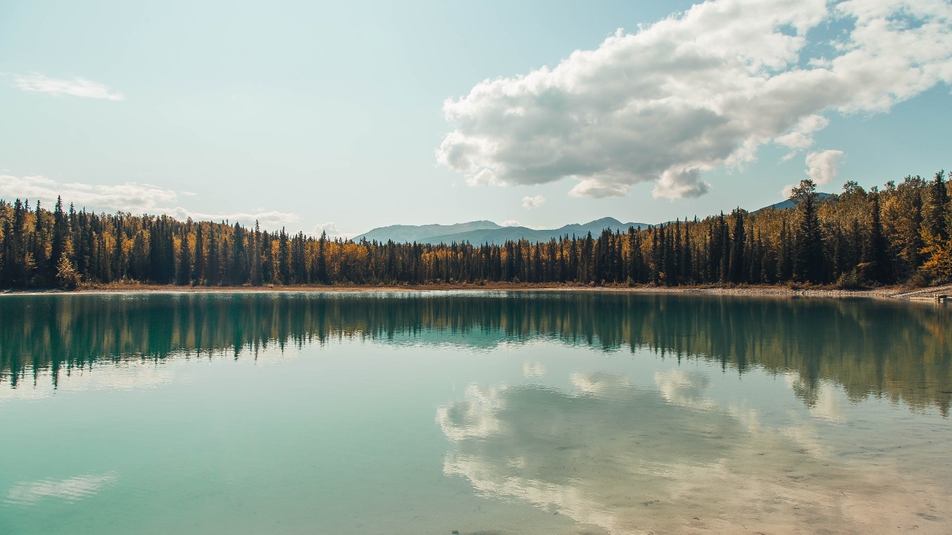开云体育登录入口-赛后数据统计显示控球与射门形成更好转化率战术奏效，控球技能