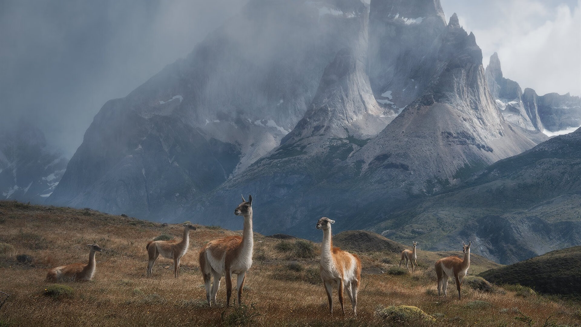 开云ky官网-足球训练中引入虚拟现实技术，提升技能学习效率，虚拟足球场