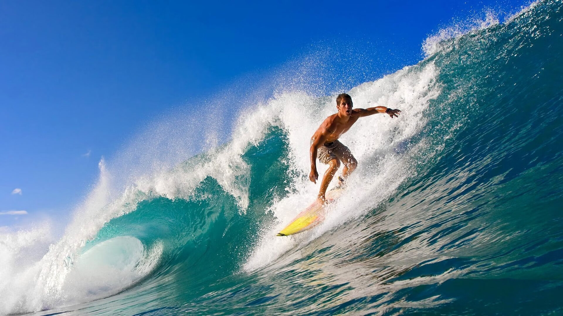 MotoGP新赛季开跑,马奎斯全力冲击冠军,摩托gp马奎斯年薪